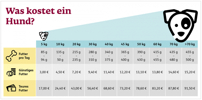 Infografik mit Tipps für Hundeeltern